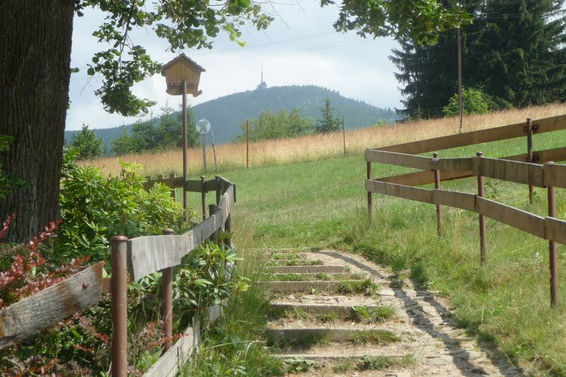 P1300485