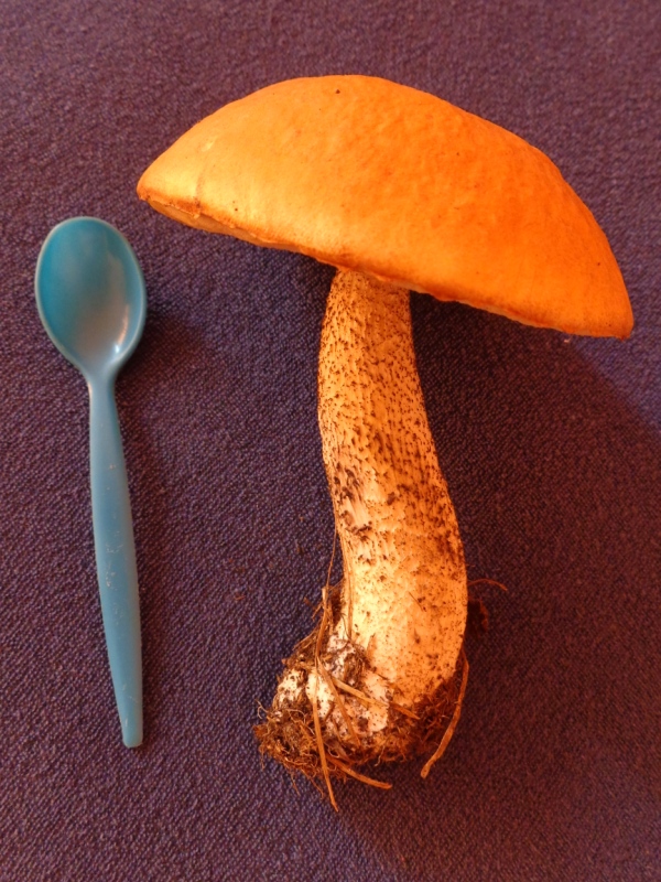 157